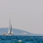 Segelyacht mit weißen Segeln auf leicht bewegter See vor bewaldeter Küste bei klarem Himmel