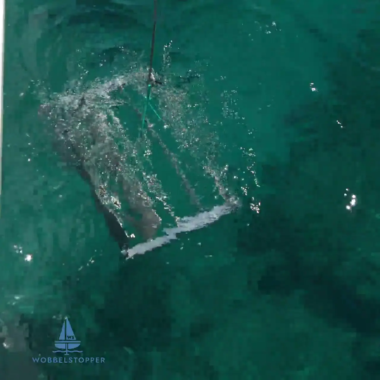 Wobbelstopper unter Wasser neben dem Boot