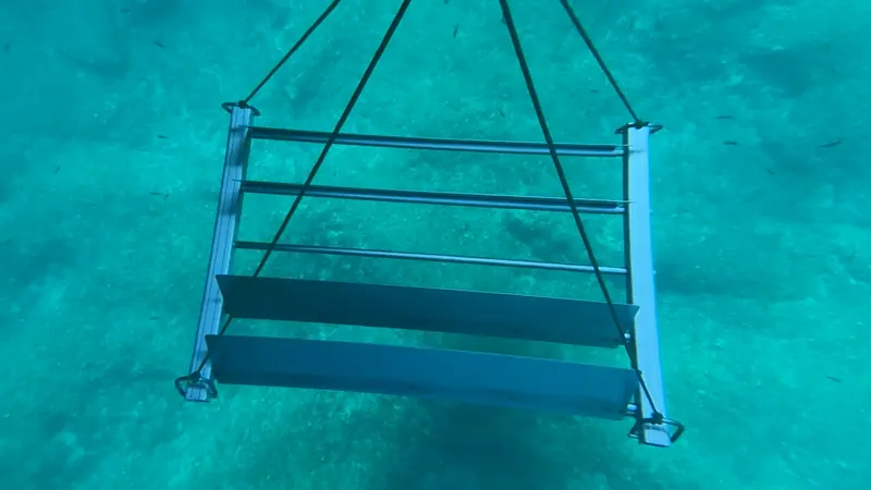 Wobbelstopper with open flaps under water, on four lines beneath the boat